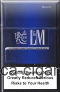 L&M Motion Blue(mini)